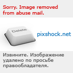 ���� ������. ������� ��������